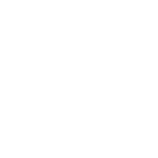 gear_icon